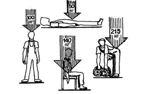 Loading of the spine in different positions